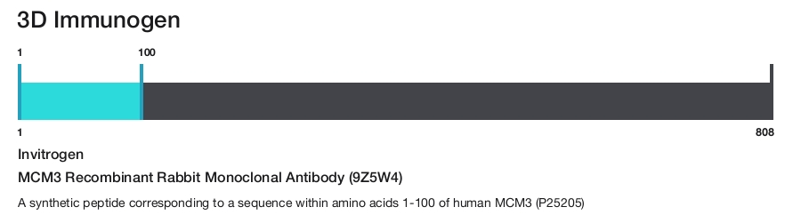 MCM3 Recombinant Rabbit Monoclonal Antibody (9Z5W4)
