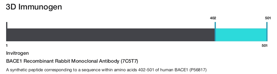 BACE1 Recombinant Rabbit Monoclonal Antibody (7C5T7)