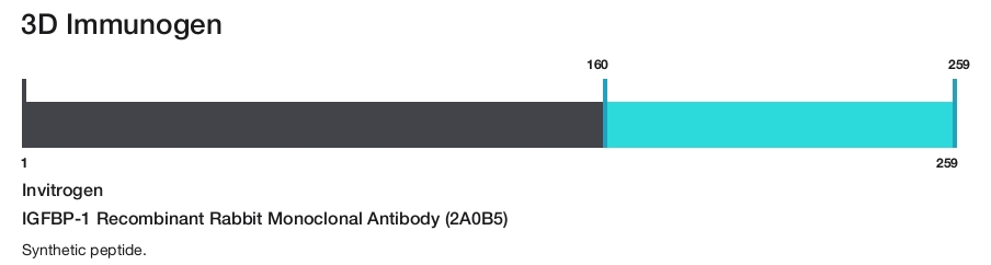 IGFBP-1 Recombinant Rabbit Monoclonal Antibody (2A0B5)