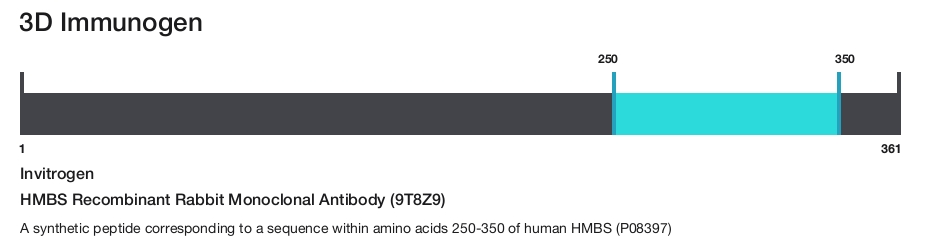 HMBS Recombinant Rabbit Monoclonal Antibody (9T8Z9)