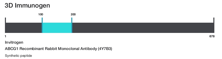 ABCG1 Recombinant Rabbit Monoclonal Antibody (4Y7B3)