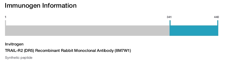 TRAIL-R2 (DR5) Recombinant Rabbit Monoclonal Antibody (8M7W1)