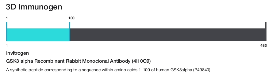 GSK3 alpha Recombinant Rabbit Monoclonal Antibody (4I10Q9)