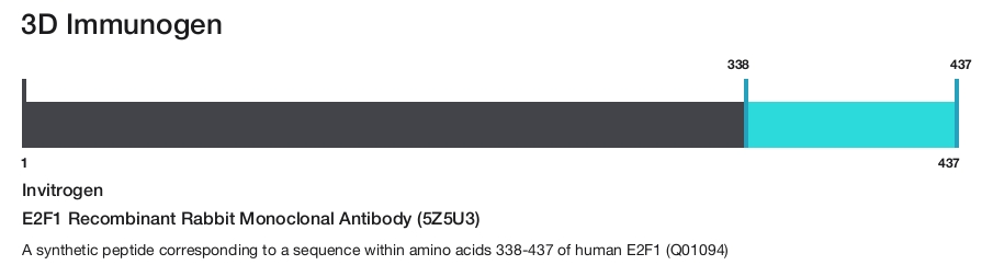 E2F1 Recombinant Rabbit Monoclonal Antibody (5Z5U3)