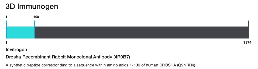 Drosha Recombinant Rabbit Monoclonal Antibody (4R0B7)