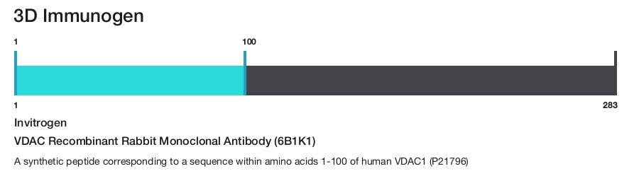 VDAC Recombinant Rabbit Monoclonal Antibody (6B1K1)
