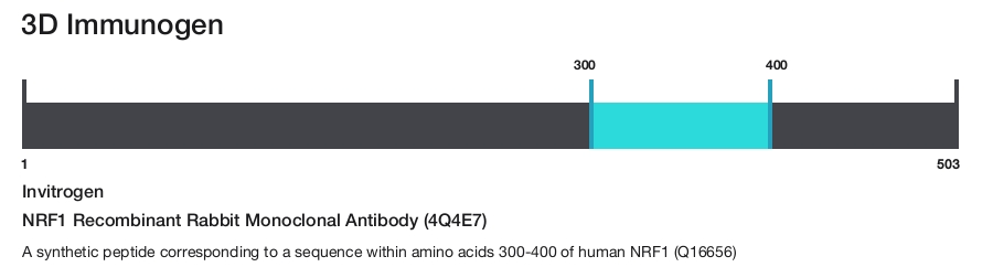 NRF1 Recombinant Rabbit Monoclonal Antibody (4Q4E7)