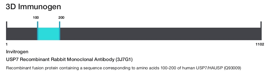 USP7 Recombinant Rabbit Monoclonal Antibody (3J7G1)