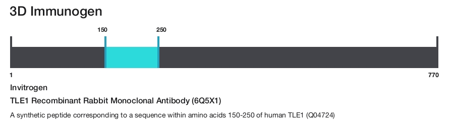 TLE1 Recombinant Rabbit Monoclonal Antibody (6Q5X1)