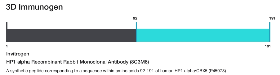 HP1 alpha Recombinant Rabbit Monoclonal Antibody (8C3M6)