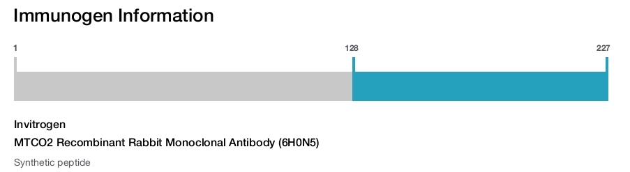 MTCO2 Recombinant Rabbit Monoclonal Antibody (6H0N5)