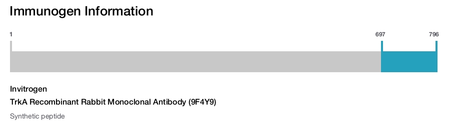 TrkA Recombinant Rabbit Monoclonal Antibody (9F4Y9)