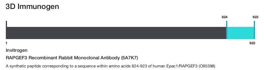 RAPGEF3 Recombinant Rabbit Monoclonal Antibody (5A7K7)