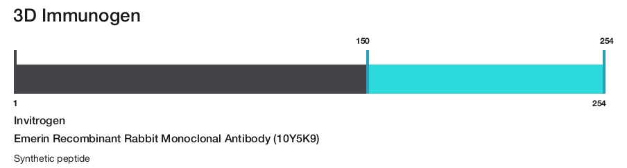 Emerin Recombinant Rabbit Monoclonal Antibody (10Y5K9)
