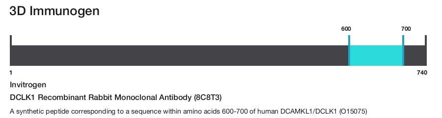 DCLK1 Recombinant Rabbit Monoclonal Antibody (8C8T3)