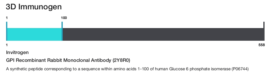 GPI Recombinant Rabbit Monoclonal Antibody (2Y8R0)