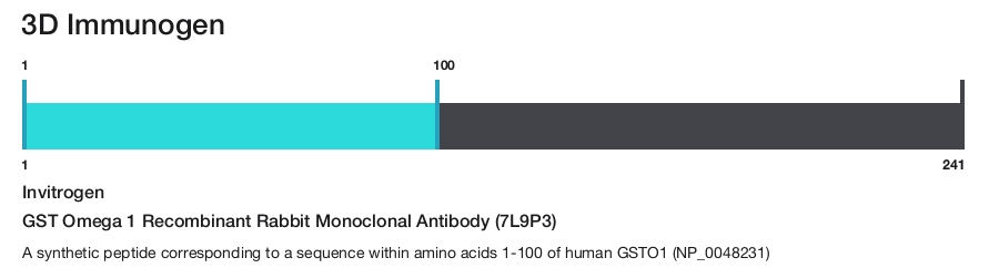 GST Omega 1 Recombinant Rabbit Monoclonal Antibody (7L9P3)