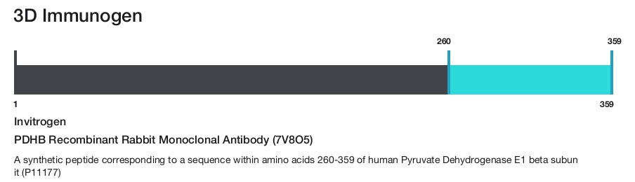 PDHB Recombinant Rabbit Monoclonal Antibody (7V8O5)