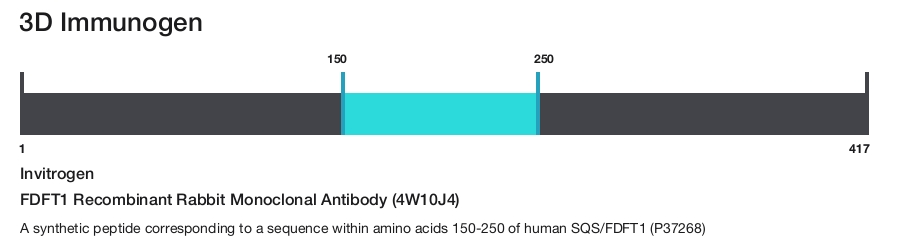 FDFT1 Recombinant Rabbit Monoclonal Antibody (4W10J4)