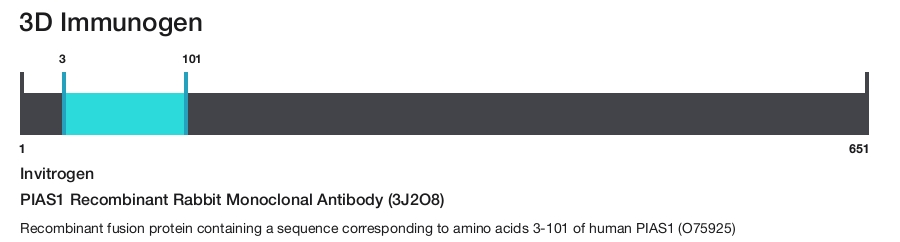 PIAS1 Recombinant Rabbit Monoclonal Antibody (3J2O8)