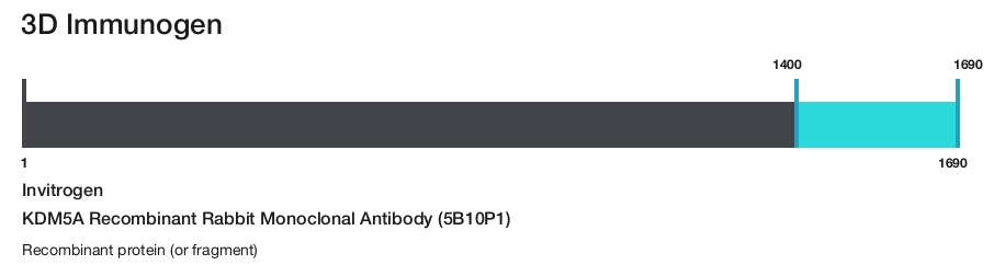 KDM5A Recombinant Rabbit Monoclonal Antibody (5B10P1)