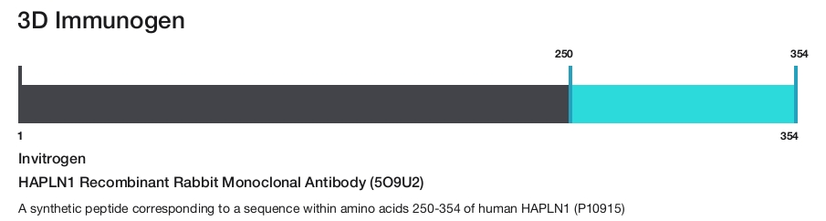 HAPLN1 Recombinant Rabbit Monoclonal Antibody (5O9U2)