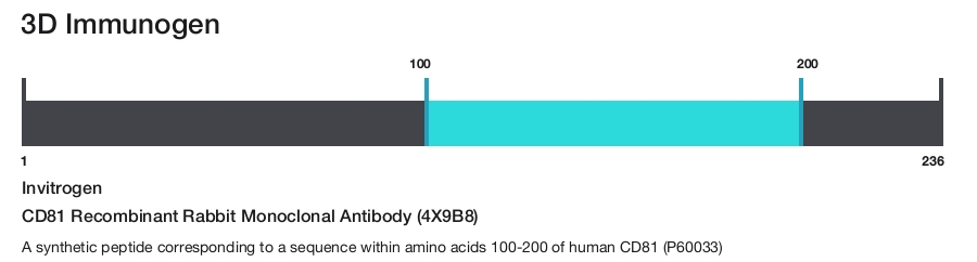CD81 Recombinant Rabbit Monoclonal Antibody (4X9B8)
