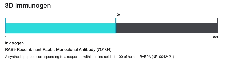 RAB9 Recombinant Rabbit Monoclonal Antibody (7O1G4)