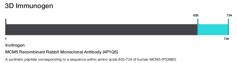 MCM5 Recombinant Rabbit Monoclonal Antibody (4P1Q5)