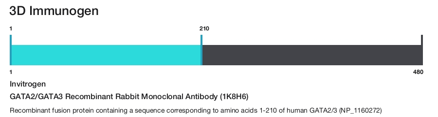 GATA2/GATA3 Recombinant Rabbit Monoclonal Antibody (1K8H6)