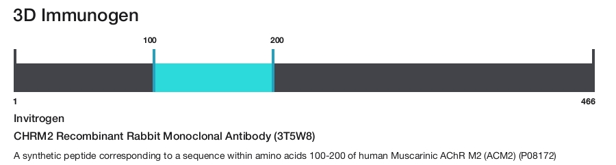 CHRM2 Recombinant Rabbit Monoclonal Antibody (3T5W8)