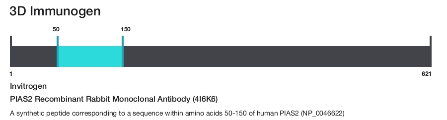 PIAS2 Recombinant Rabbit Monoclonal Antibody (4I6K6)