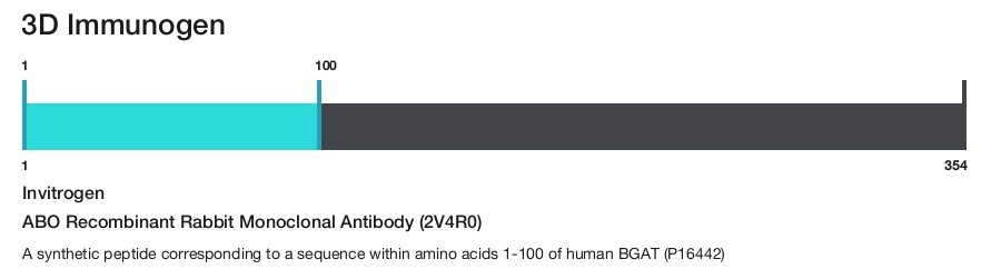 ABO Recombinant Rabbit Monoclonal Antibody (2V4R0)