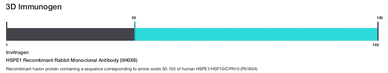 HSPE1 Recombinant Rabbit Monoclonal Antibody (0H0X6)