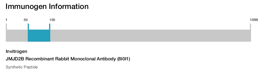 JMJD2B Recombinant Rabbit Monoclonal Antibody (8I0I1)