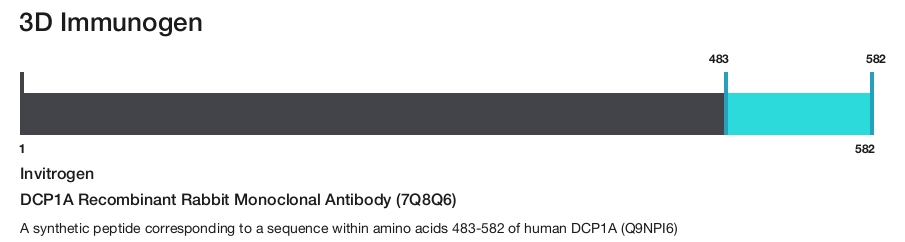 DCP1A Recombinant Rabbit Monoclonal Antibody (7Q8Q6)