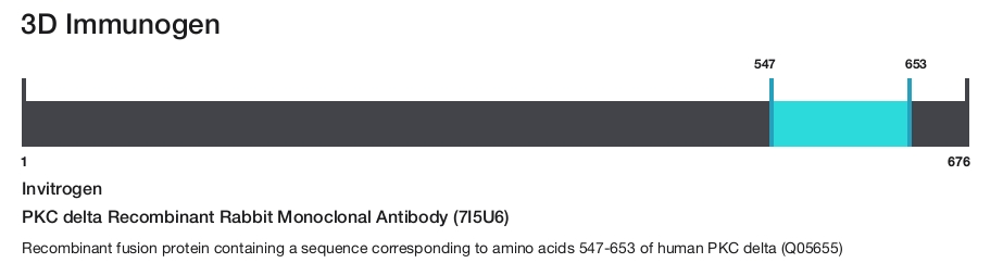PKC delta Recombinant Rabbit Monoclonal Antibody (7I5U6)