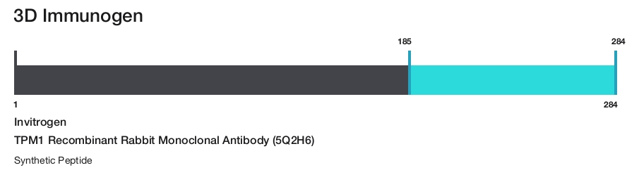 TPM1 Recombinant Rabbit Monoclonal Antibody (5Q2H6)