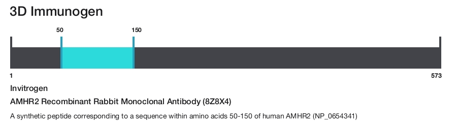 AMHR2 Recombinant Rabbit Monoclonal Antibody (8Z8X4)