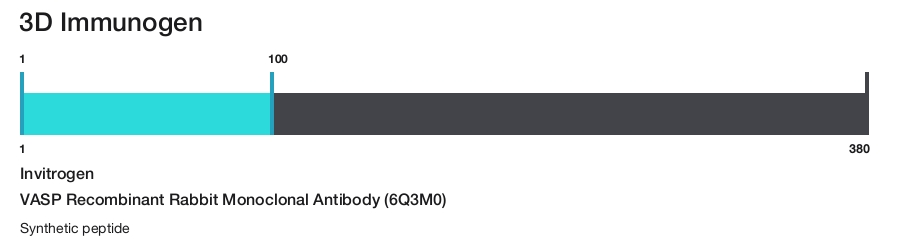 VASP Recombinant Rabbit Monoclonal Antibody (6Q3M0)