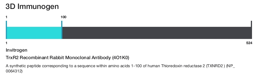 TrxR2 Recombinant Rabbit Monoclonal Antibody (4O1K0)