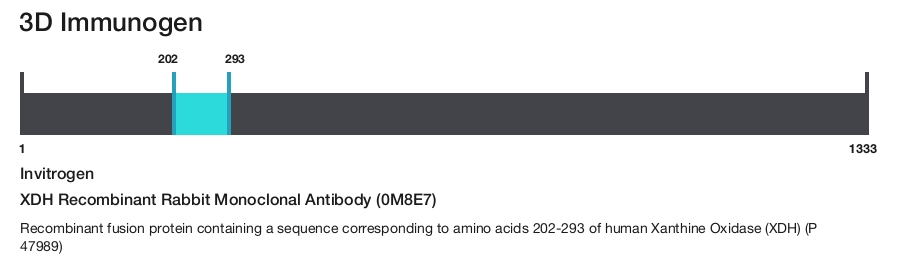 XDH Recombinant Rabbit Monoclonal Antibody (0M8E7)