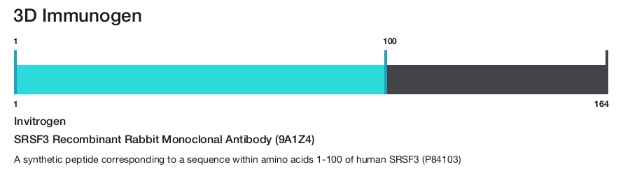 SRSF3 Recombinant Rabbit Monoclonal Antibody (9A1Z4)