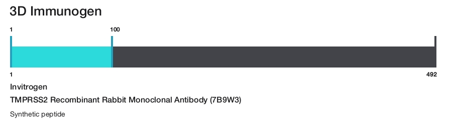 TMPRSS2 Recombinant Rabbit Monoclonal Antibody (7B9W3)