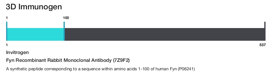 Fyn Recombinant Rabbit Monoclonal Antibody (7Z9F2)