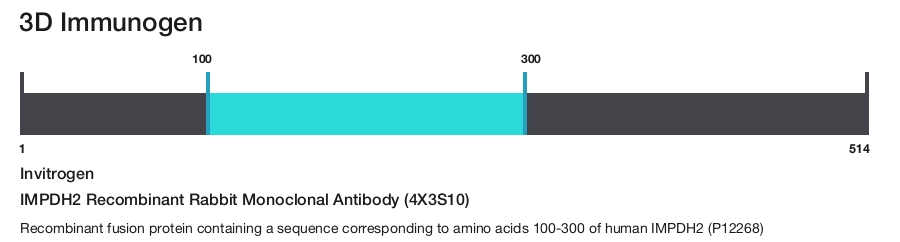 IMPDH2 Recombinant Rabbit Monoclonal Antibody (4X3S10)