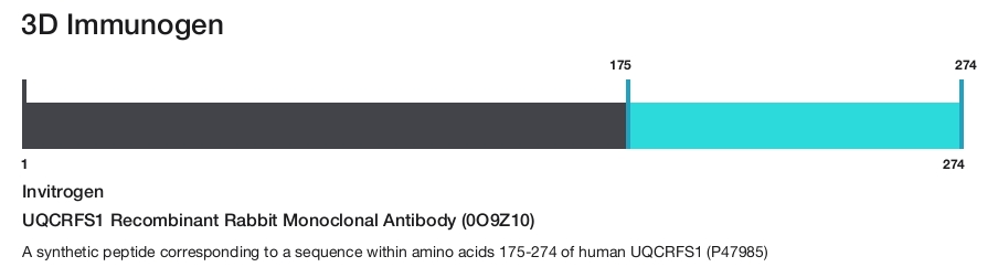 UQCRFS1 Recombinant Rabbit Monoclonal Antibody (0O9Z10)