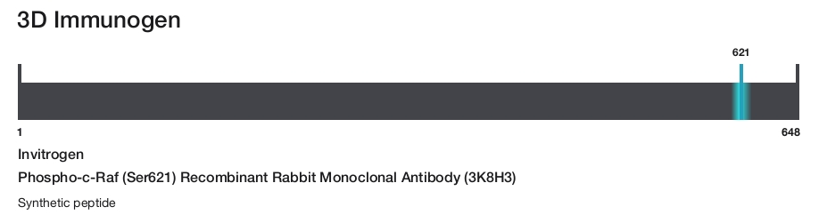 Phospho-c-Raf (Ser621) Recombinant Rabbit Monoclonal Antibody (3K8H3)