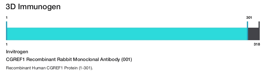 CGREF1 Recombinant Rabbit Monoclonal Antibody (001)