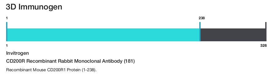 CD200R Recombinant Rabbit Monoclonal Antibody (181)